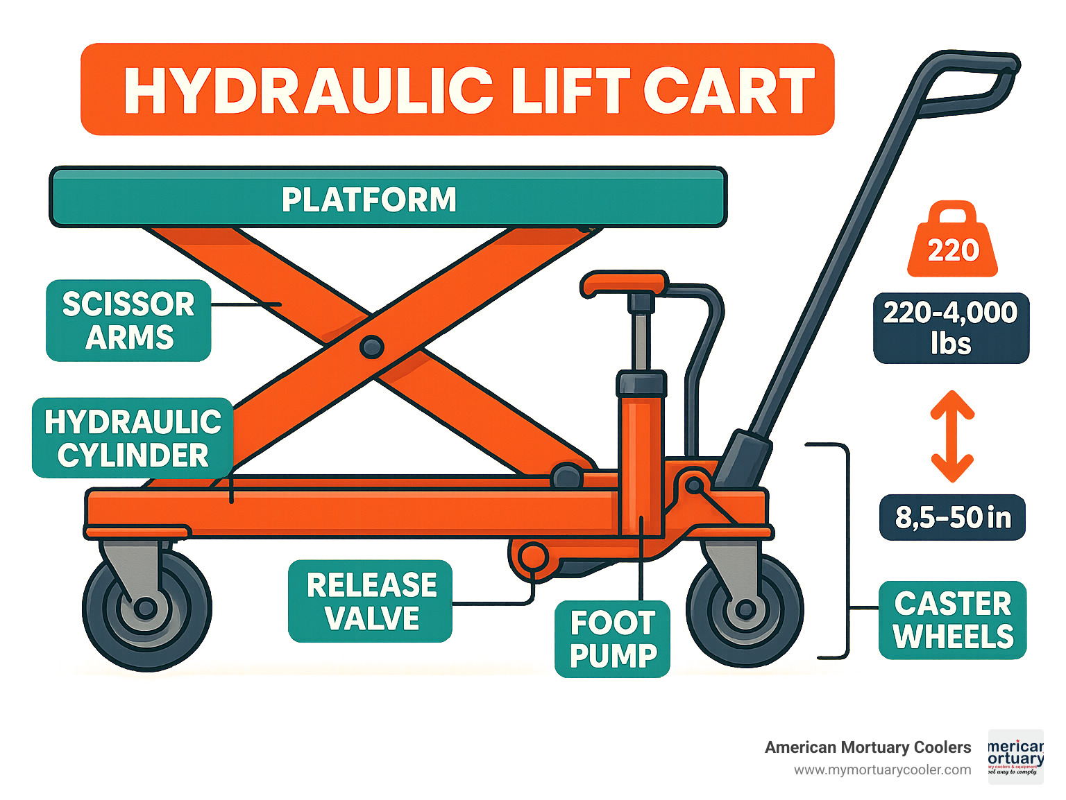 Detailed cross-section diagram showing hydralic lift cart components including hydraulic cylinder, scissor arms, foot pump, release valve, platform, and caster wheels with capacity and height specifications - hydralic lift cart infographic 