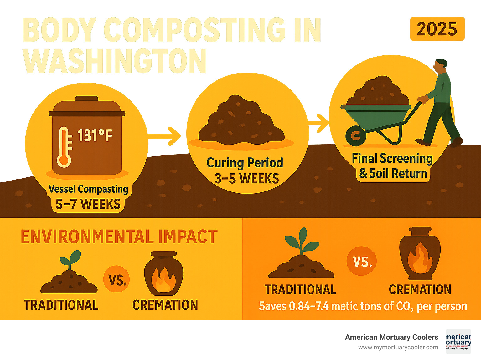 Comprehensive infographic showing body composting washington timeline: 5-7 weeks vessel composting at 131°F, 3-5 weeks curing period, final screening and soil return, with comparison to traditional burial and cremation environmental impact - body composting washington infographic 