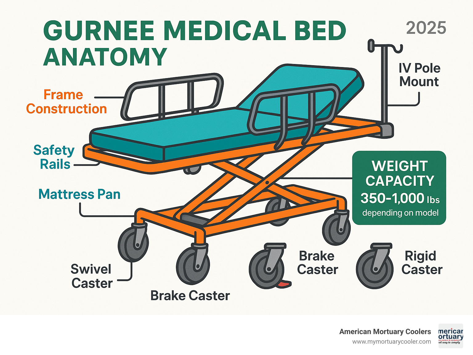 Detailed anatomy of a gurnee medical bed showing frame construction, caster types, safety rails, mattress pan, IV pole mounts, and weight capacity specifications across different models - gurnee medical bed infographic 