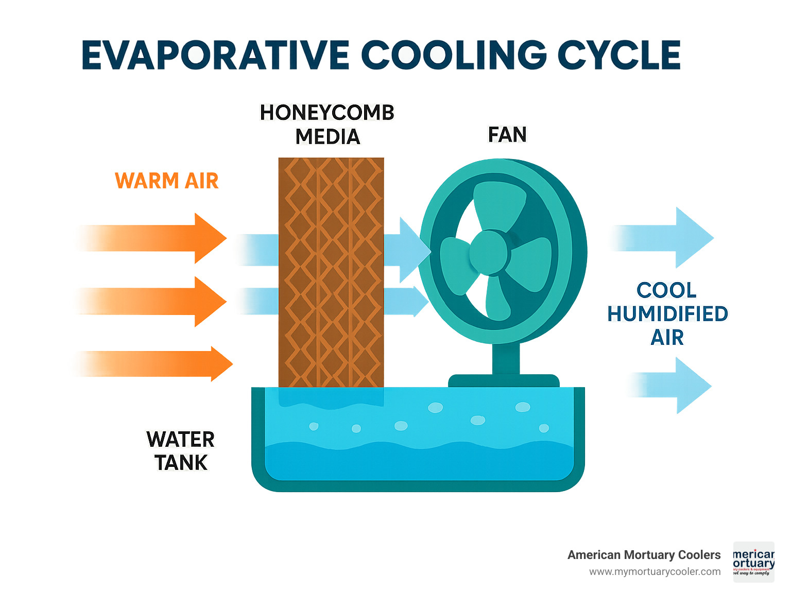 Detailed infographic showing the evaporative cooling cycle with water tank, honeycomb media, fan, and airflow arrows demonstrating how warm air enters, passes through wet media, and exits as cool humidified air - evaporative portable air coolers infographic 