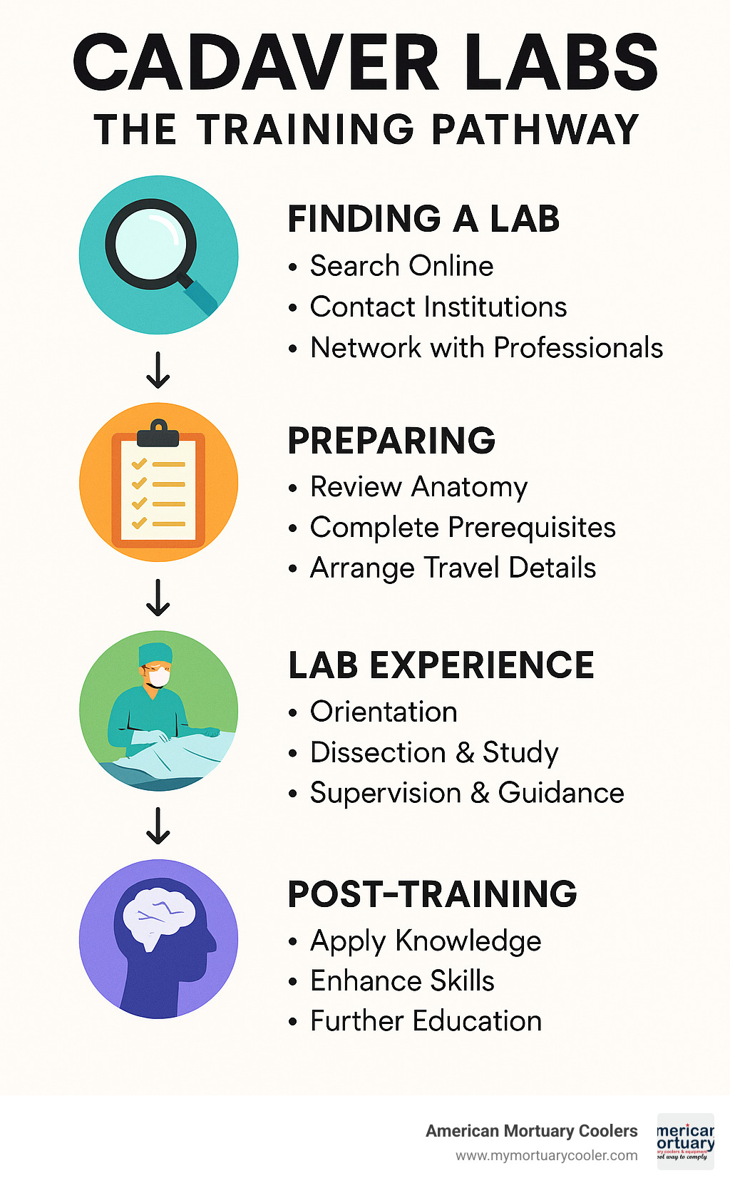 Comprehensive guide showing the journey from finding cadaver labs to completing training, including search methods, preparation steps, lab experience phases, and post-training applications - cadaver labs infographic 