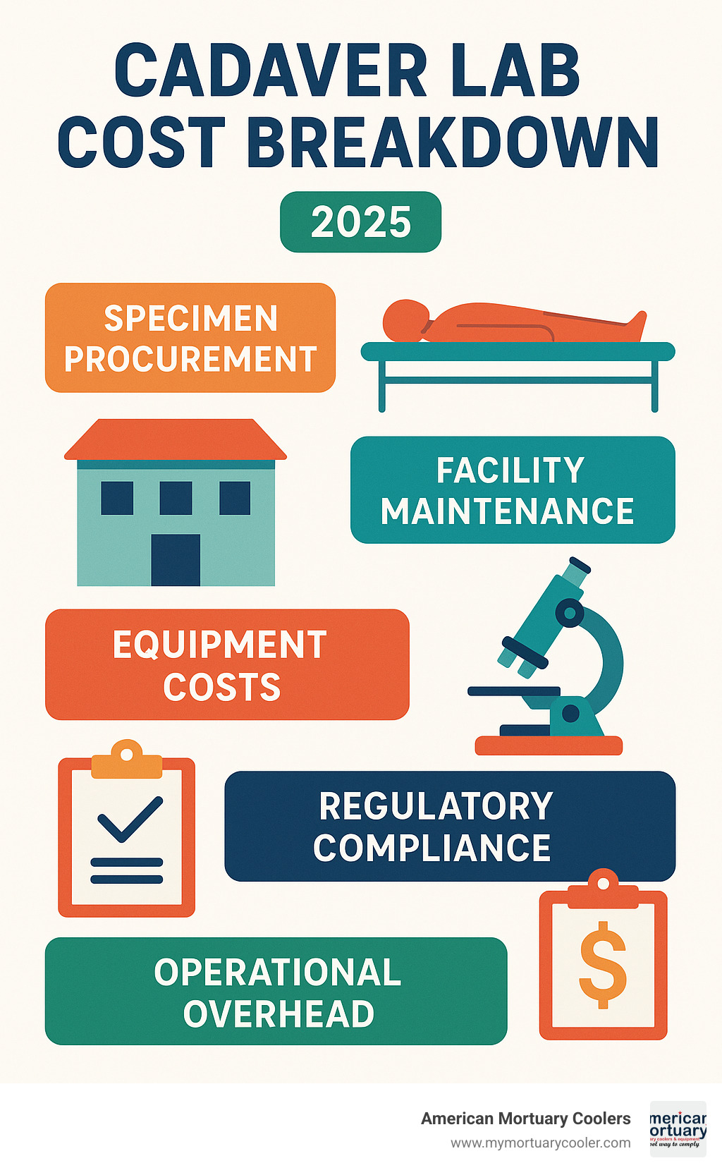 Detailed cost breakdown showing specimen procurement, facility maintenance, equipment costs, regulatory compliance expenses, and operational overhead for cadaver lab programs - cadaver-lab- infographic 