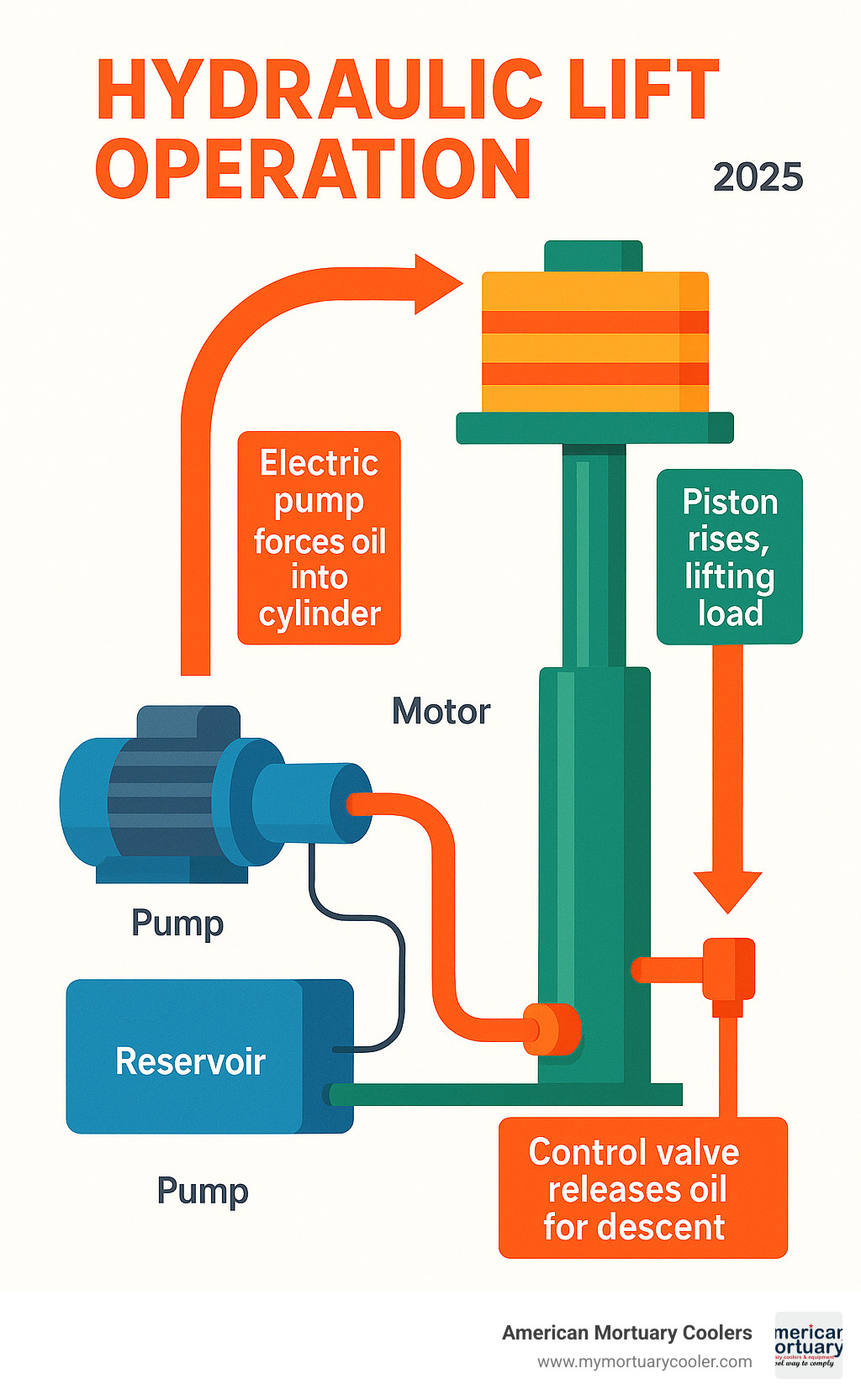 Infographic showing hydraulic lift operation cycle: electric pump forces oil into cylinder, piston rises lifting load, control valve releases oil for descent, with main components labeled including reservoir, pump, motor, cylinder, piston, and control valve - hydraulic lifts infographic 