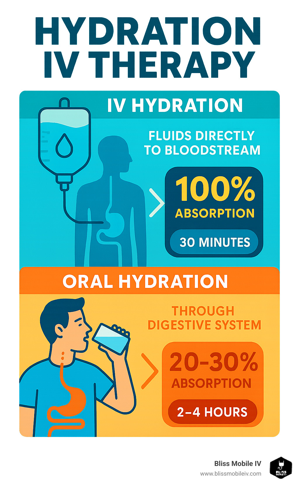 Infographic showing IV hydration delivering fluids directly to bloodstream with 100% absorption versus oral hydration going through digestive system with only 20-30% absorption, including timeline of 30 minutes for IV effects versus 2-4 hours for oral rehydration - hydration iv therapy infographic 