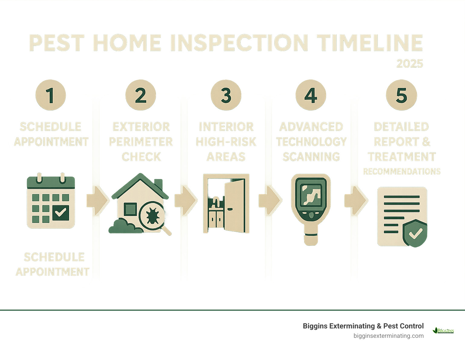 Infographic showing 5-step pest inspection timeline: 1) Schedule appointment 2) Exterior perimeter check 3) Interior high-risk areas 4) Advanced technology scanning 5) Detailed report with treatment recommendations - Pest Home Insepction Anodver MA infographic 