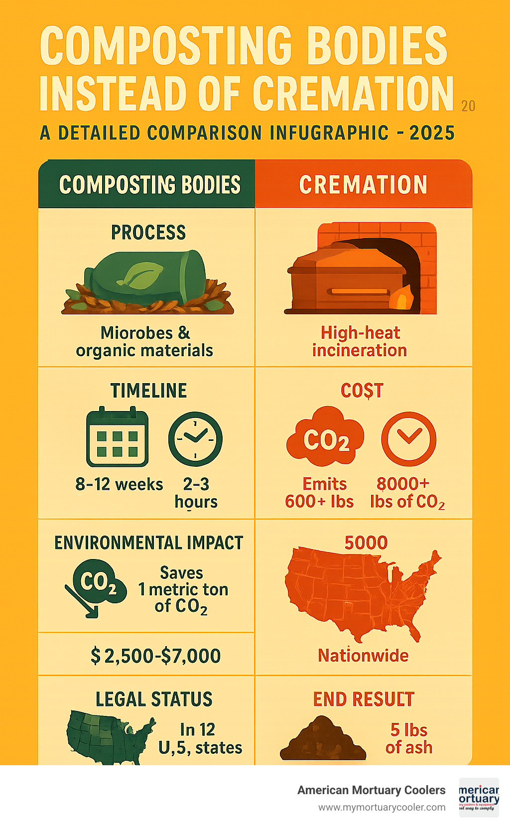 Detailed comparison infographic showing the complete lifecycle of human composting versus cremation, including environmental impact, costs, timeline, legal requirements, and final outcomes for families - composting bodies instead of cremation infographic 