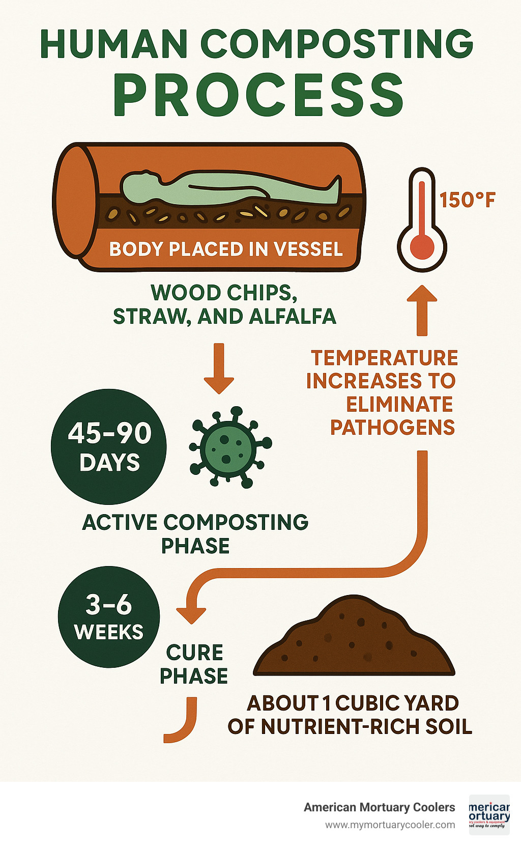 Infographic showing the complete human composting process from body placement in vessel through soil change, including temperature requirements, timeline phases, and final soil output volume - human composting Chicago infographic 