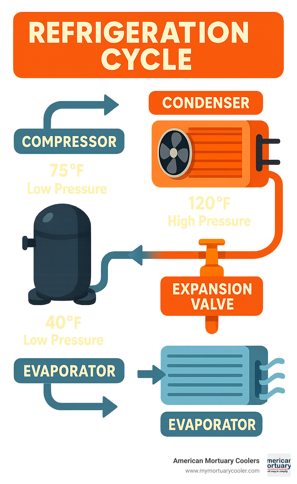 Detailed infographic showing the refrigeration cycle with compressor, condenser, expansion valve, and evaporator components, plus temperature and pressure readings at each stage - refrigerated air conditioning infographic 