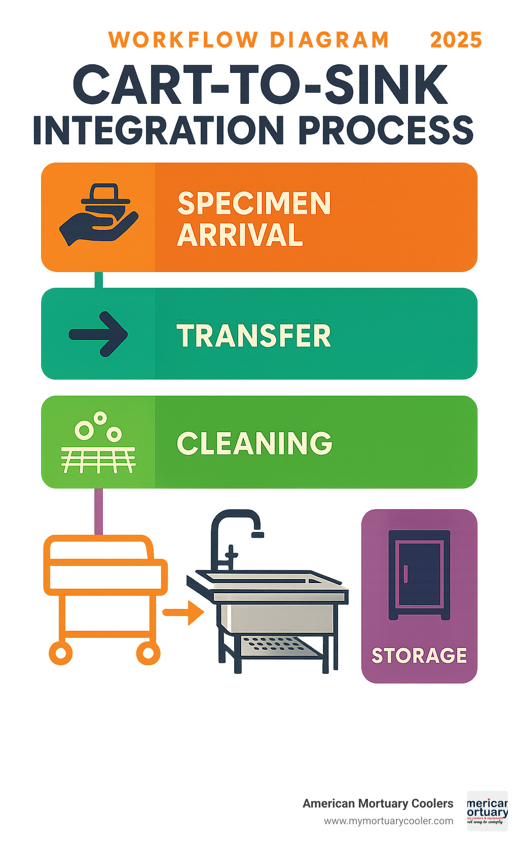 Workflow diagram showing cart-to-sink integration process from specimen arrival through cleaning and storage - autopsy sink infographic 