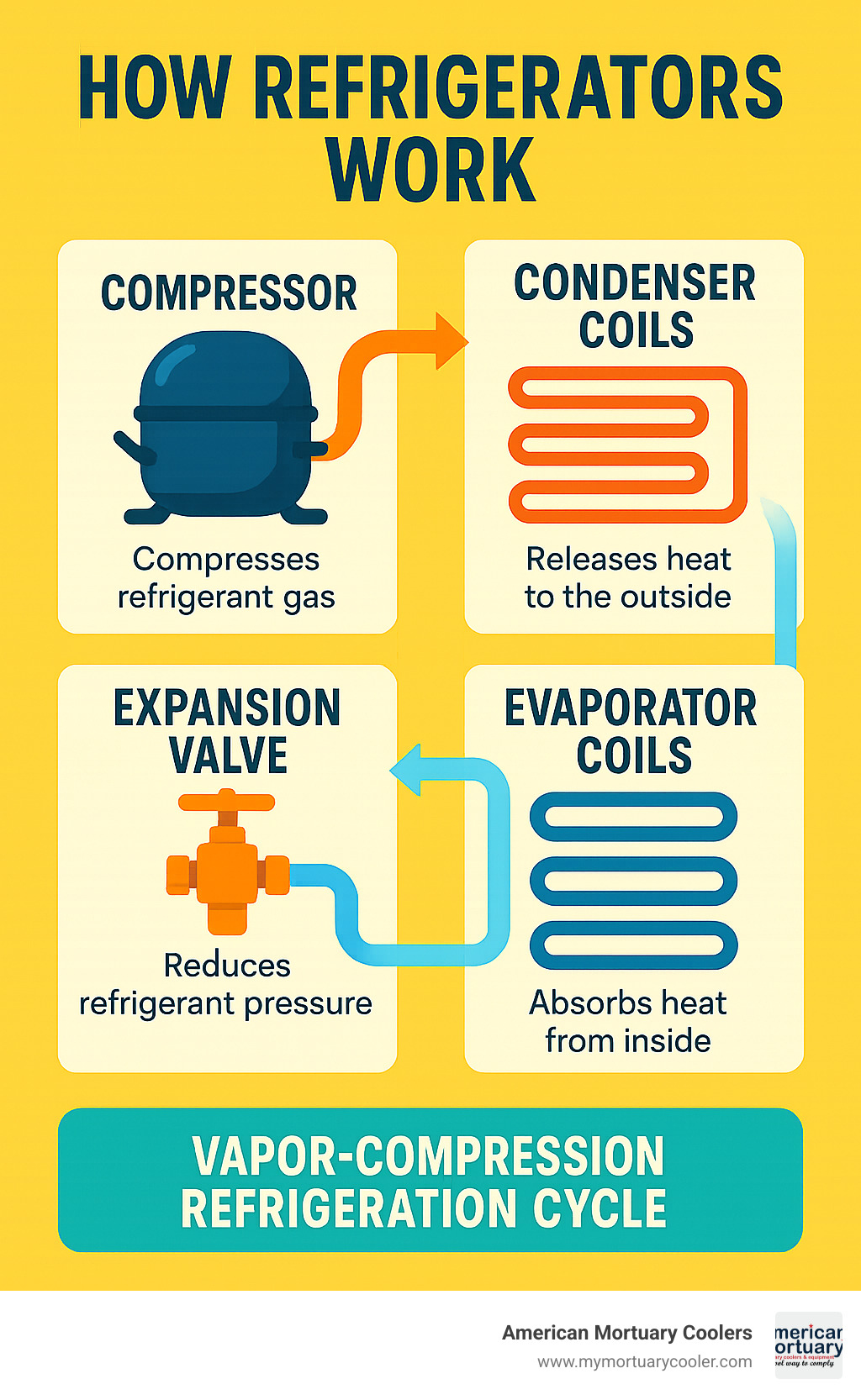Detailed infographic showing the complete vapor-compression refrigeration cycle with labeled components including compressor, condenser coils, expansion valve, evaporator coils, and refrigerant flow arrows indicating the complete heat transfer process - how refrigerators work infographic 