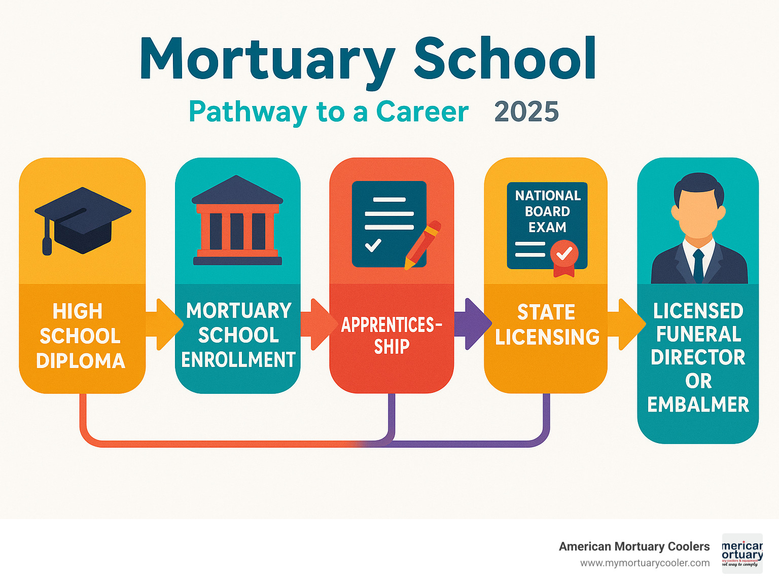 Infographic showing the complete pathway from high school diploma through mortuary school enrollment, associate degree completion, apprenticeship requirements, National Board Exam, state licensing, and career placement as a licensed funeral director or embalmer - mortuary school infographic 