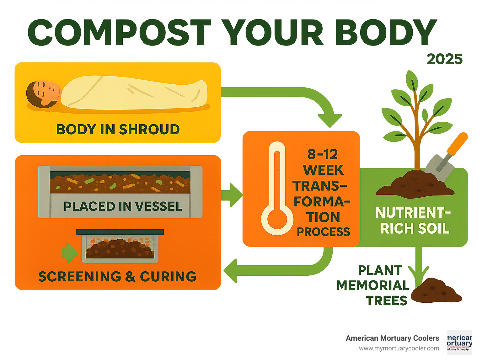 Infographic showing the complete human composting lifecycle: person lying in biodegradable shroud, placed in stainless steel vessel with organic materials, 8-12 week change process with temperature monitoring, screening and curing phases, final output of one cubic yard of nutrient-rich soil being used to plant memorial trees - compost your body infographic 