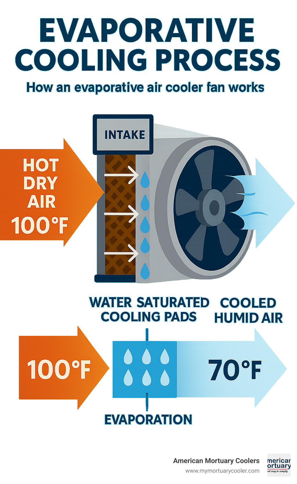 Detailed infographic showing the evaporative cooling process: hot dry air enters through intake, passes through water-saturated cooling pads where evaporation occurs, cooled humid air is distributed by fan, with arrows showing airflow direction and temperature drops from 100°F to 70°F - evaporative air cooler fan infographic 