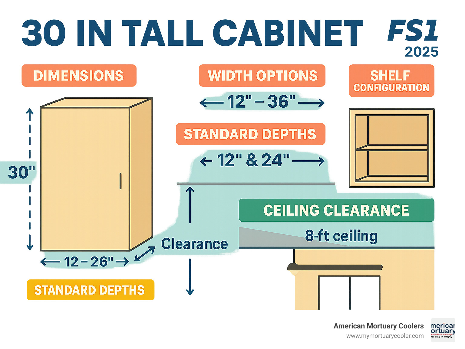 Comprehensive comparison chart showing 30 inch tall cabinet dimensions, standard depths of 12 and 24 inches, width options from 12 to 36 inches, typical two-shelf configuration, and clearance requirements under 8-foot ceilings - 30 in tall cabinet infographic 