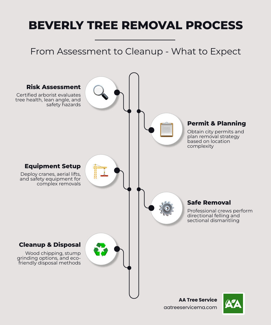 Comprehensive infographic showing Beverly tree removal process from initial assessment through cleanup, including cost factors like tree size, location complexity, equipment needs, permit requirements, and disposal methods with average price ranges for small trees $300-900, medium trees $900-2400, and large complex removals $2400-7000+ - tree removal beverly infographic infographic-line-5-steps-neat_beige