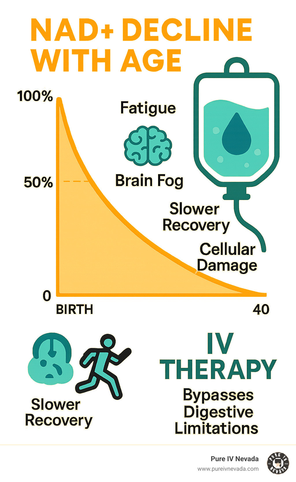 Infographic showing NAD+ decline with age from 100% at birth to 50% by age 40, with corresponding symptoms like fatigue, brain fog, slower recovery, and cellular damage, alongside IV therapy as the solution bypassing digestive limitations - nad iv therapy benefits infographic 