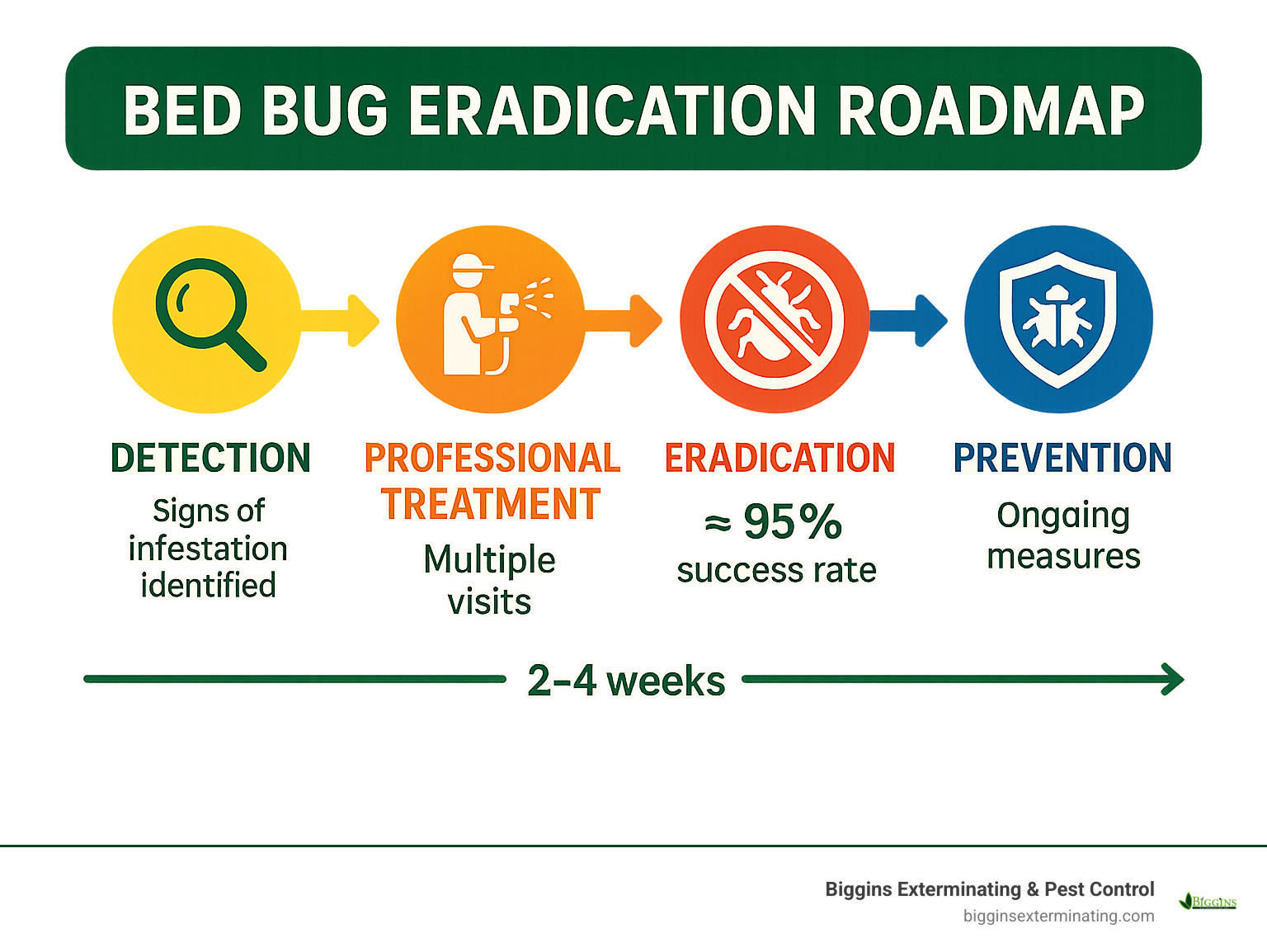 Infographic showing the complete bed bug eradication roadmap from initial detection through professional treatment to long-term prevention, featuring treatment success rates and timeline expectations - bed bug exterminator lexington ma infographic 