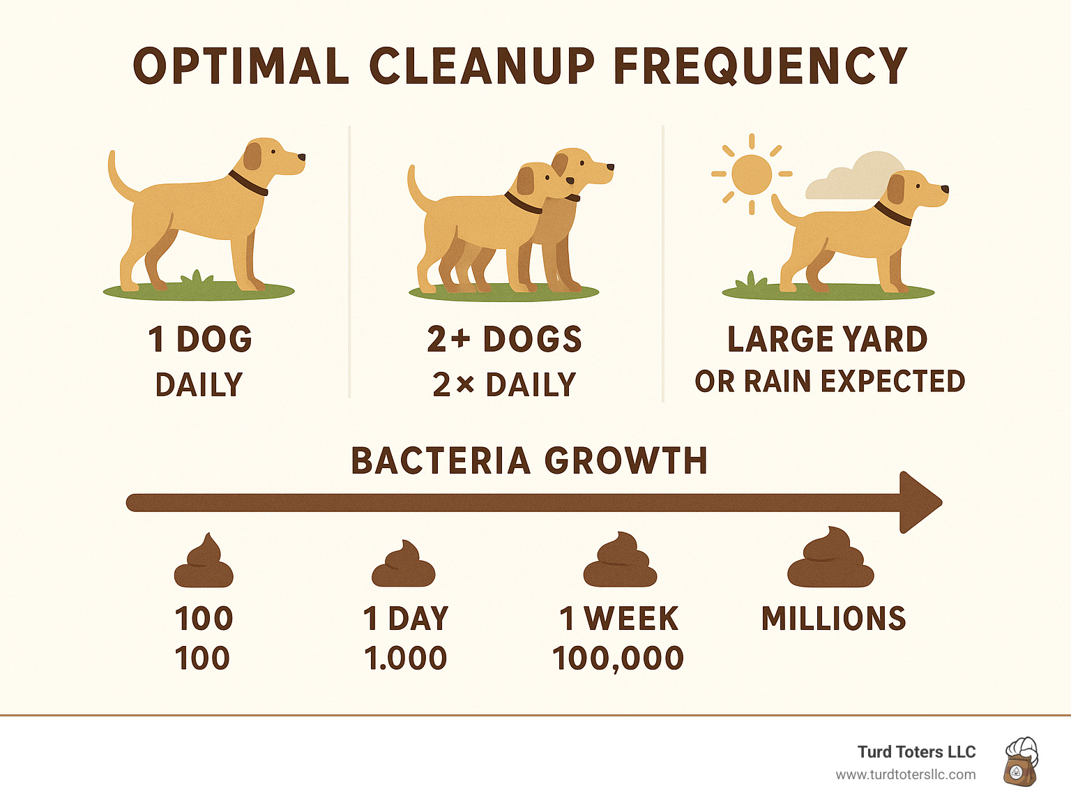 Infographic showing optimal cleanup frequency based on number of dogs, yard size, and weather conditions, with visual timeline of bacteria growth - backyard poop removal infographic 