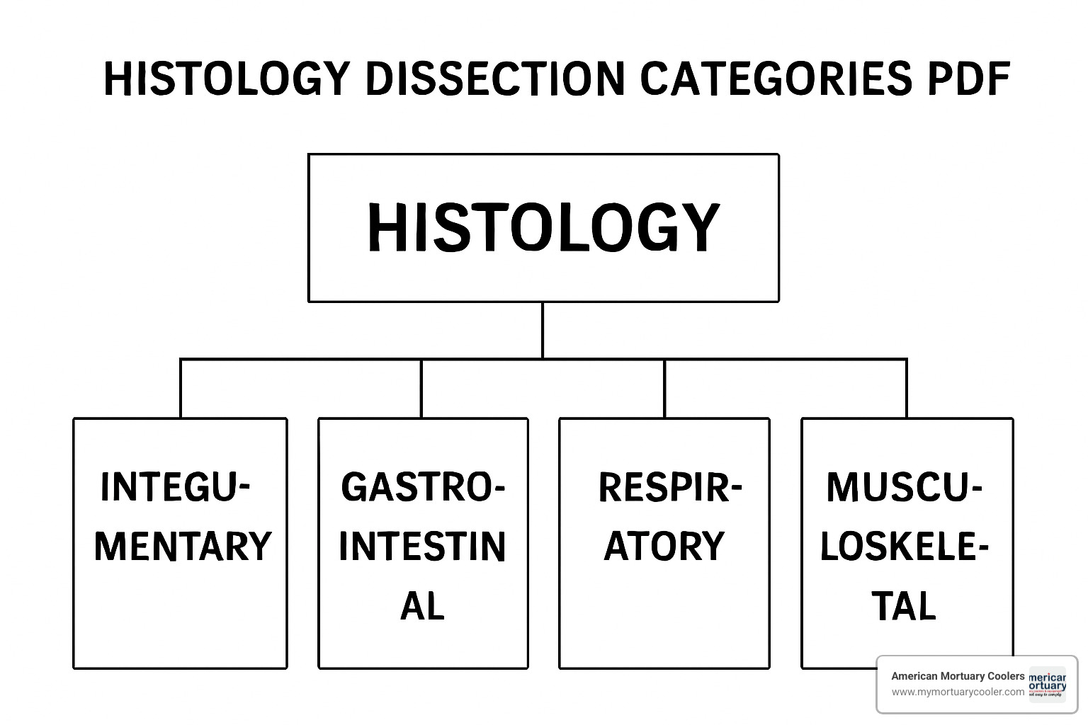 Proper grossing station setup with organized instruments, specimen containers, and safety equipment - histology dissection categories pdf