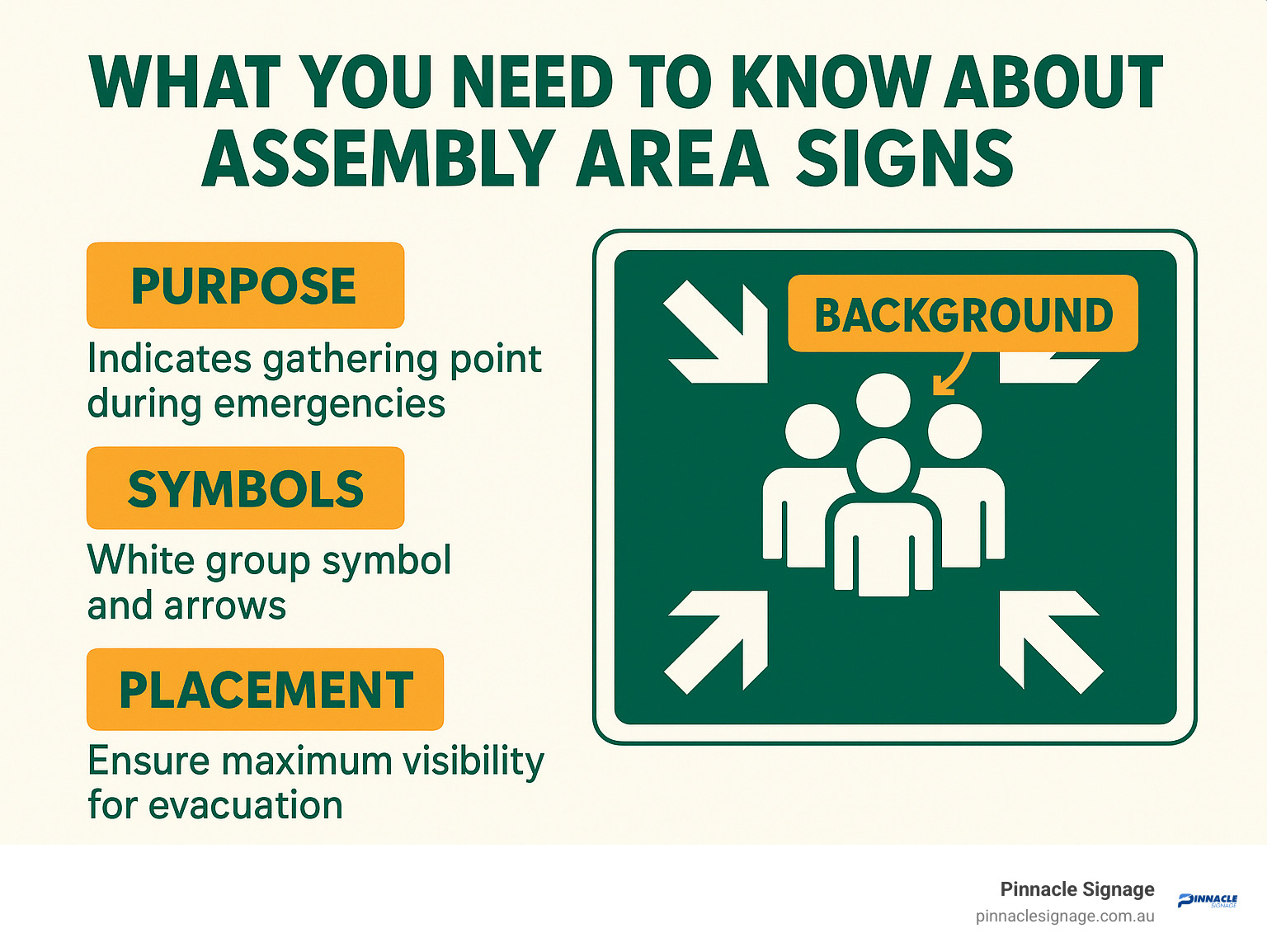 Infographic showing assembly area sign components: green rectangular background with white symbols indicating gathering point, directional arrows, and placement requirements for maximum visibility during emergency evacuations - assembly area sign infographic 