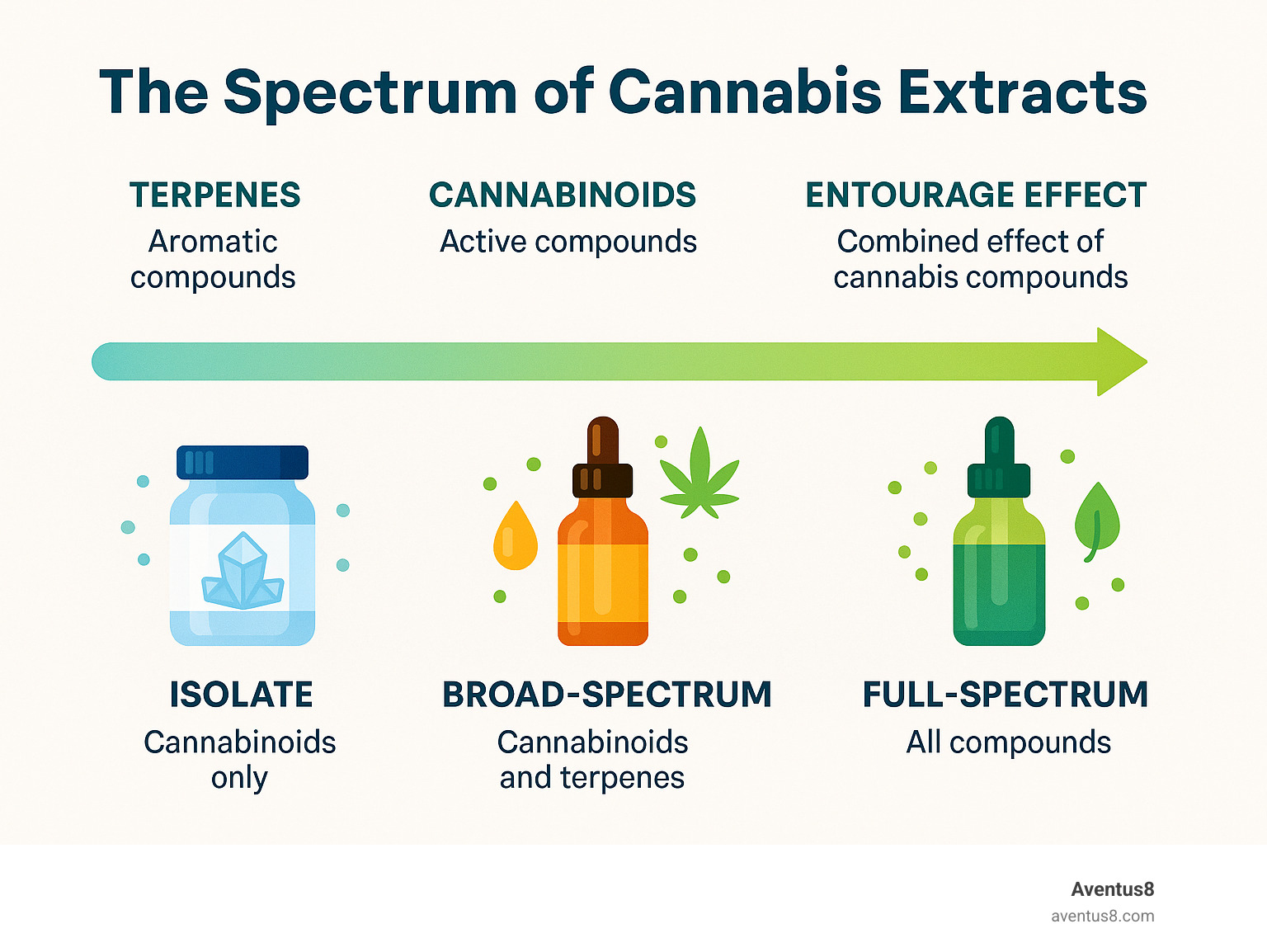 Infographic showing the spectrum of cannabis extracts from isolate to full-spectrum, with explanations of terpenes, cannabinoids, and entourage effects - weed vape pen infographic 