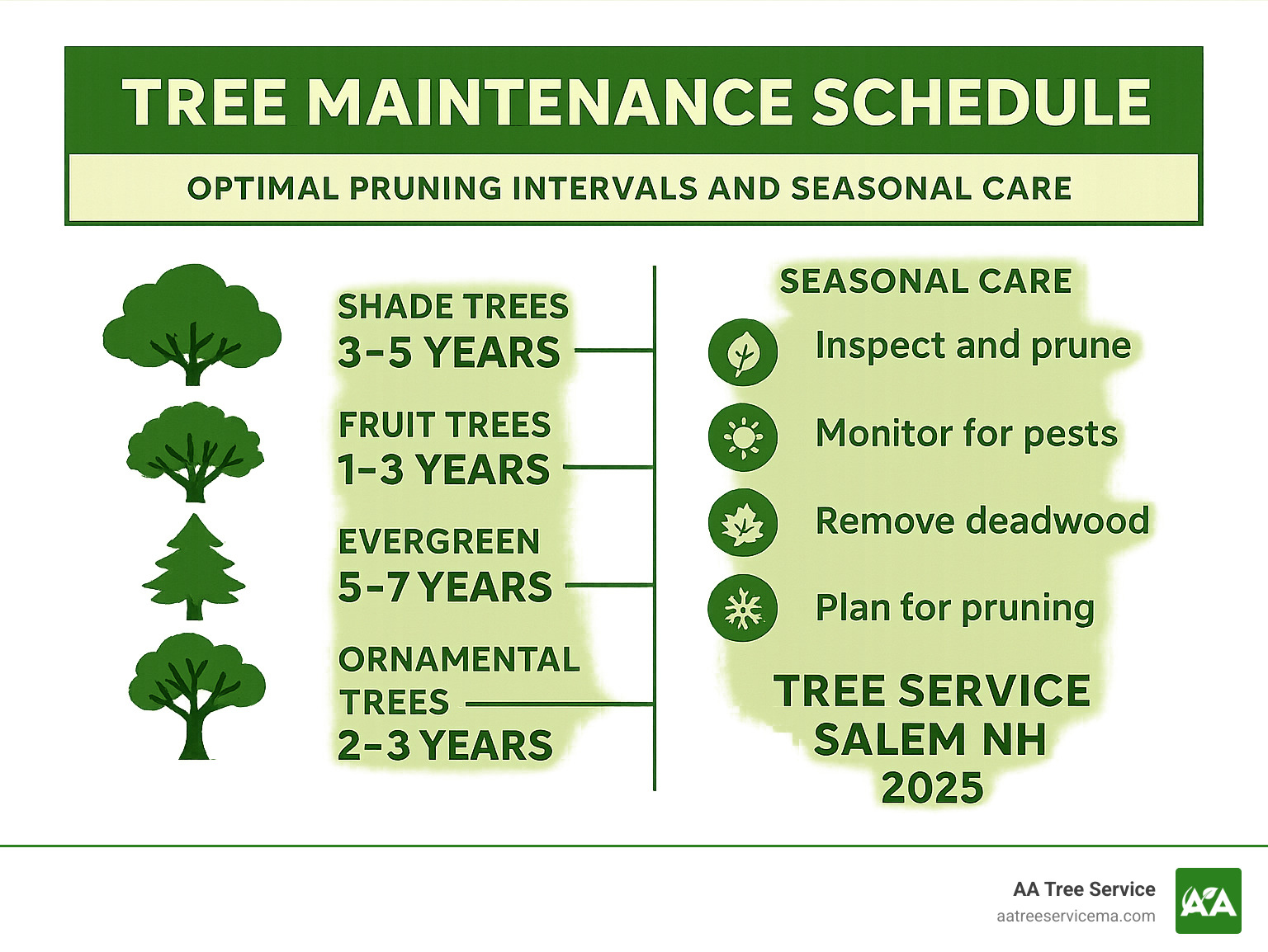 Tree maintenance schedule infographic showing optimal pruning intervals for different tree species and seasonal care recommendations - Tree Service Salem NH infographic 