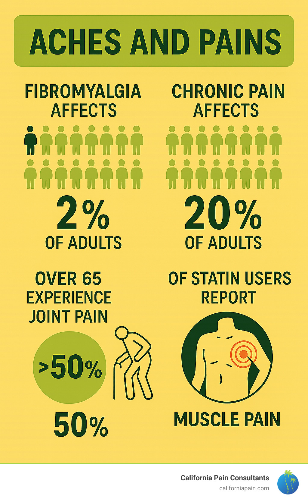 Statistical infographic showing that fibromyalgia affects 2% of adults, chronic pain affects 20% of adults, over 50% of adults over 65 experience joint pain, and 30% of statin users report muscle pain - aches and pains infographic 