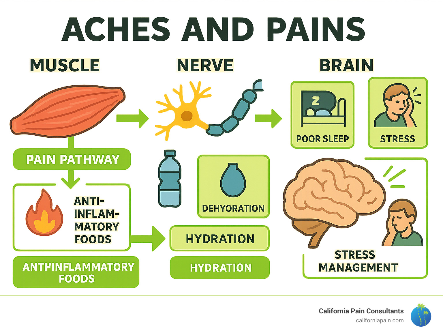 Comprehensive infographic showing the pain pathway from muscle tissue through nerve signals to brain processing, including common triggers like inflammation, dehydration, poor sleep, and stress, with corresponding relief strategies for each pathway - aches and pains infographic 