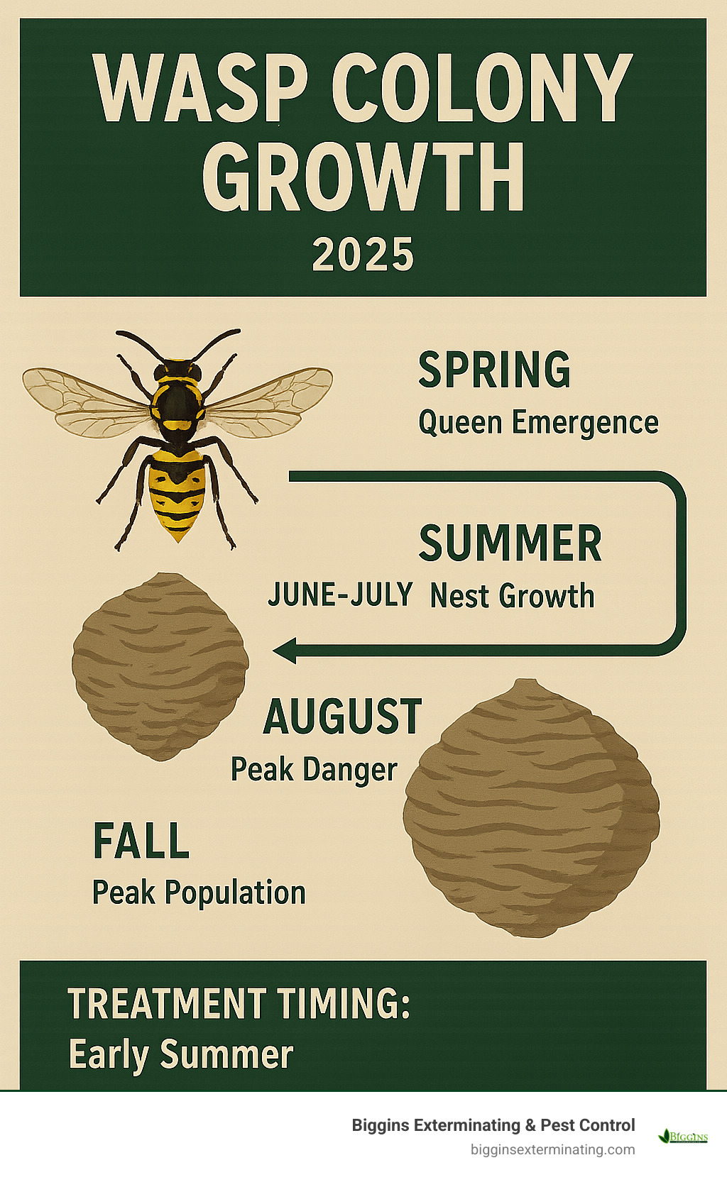 Infographic showing wasp colony growth from spring queen emergence through fall peak population, including nest size progression, peak danger months, and treatment timing recommendations - wasp treatment near me infographic