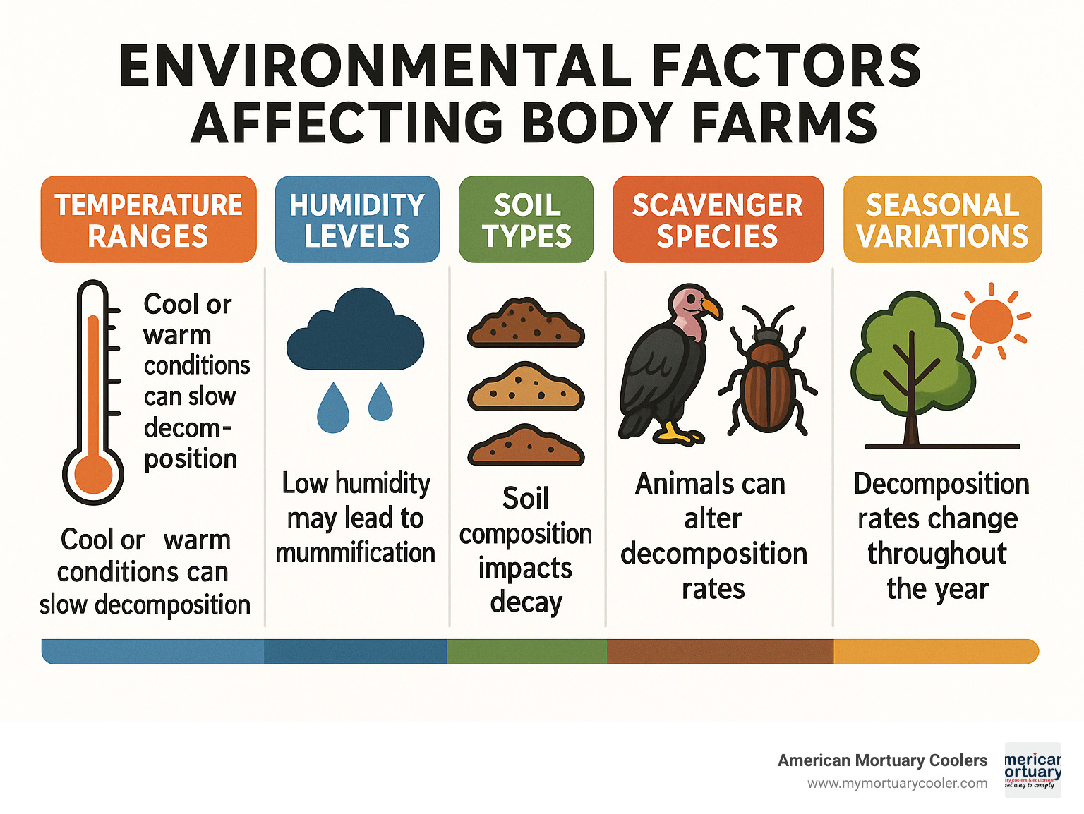 infographic showing environmental factors affecting body farms including temperature ranges, humidity levels, soil types, scavenger species, and seasonal variations with their impacts on decomposition rates - what are some environmental challenges for body farms infographic 