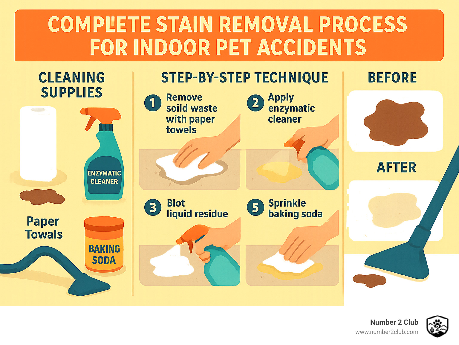 Complete stain removal process for indoor pet accidents showing cleaning supplies, step-by-step technique, and before/after results - best way to pick up dog poop infographic 