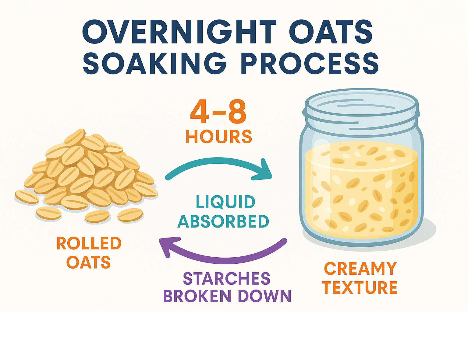 Infographic showing the overnight oats soaking process: rolled oats absorbing liquid over 4-8 hours, changing from dry grains to creamy texture, with arrows indicating liquid absorption and starch breakdown for optimal digestibility - overnight oats recipe infographic 