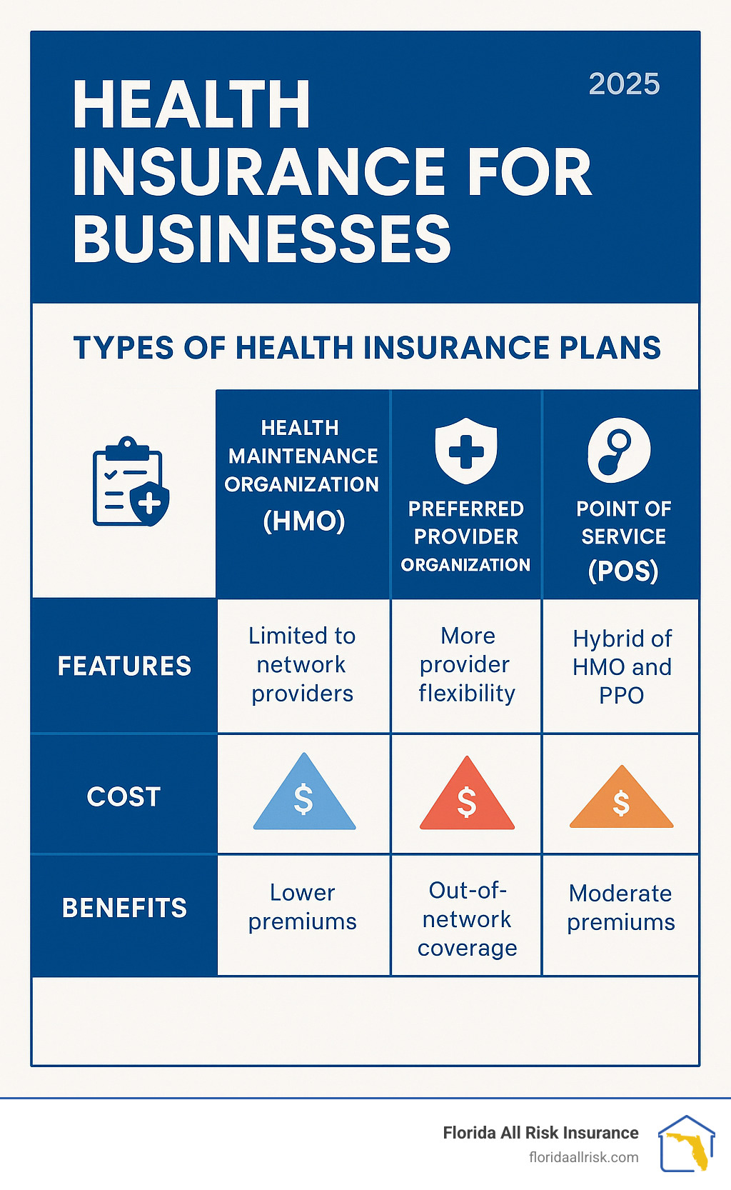 Comparison chart showing different types of business health insurance plans with their key features, costs, and benefits - Health insurance for businesses infographic 