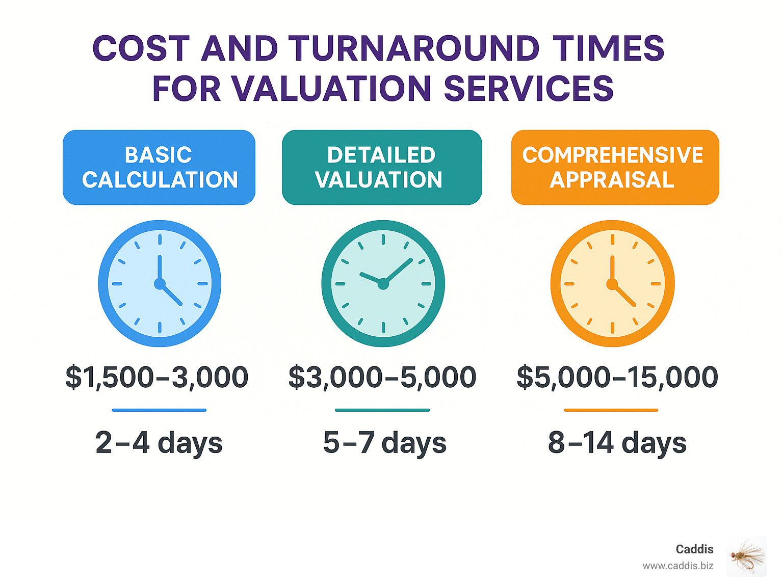 Infographic comparing typical costs and turnaround times across different valuation service levels, from basic calculations at $1,500-3,000 taking 2-4 days to comprehensive appraisals at $5,000-15,000 taking 8-14 days - business valuation companies near me infographic 