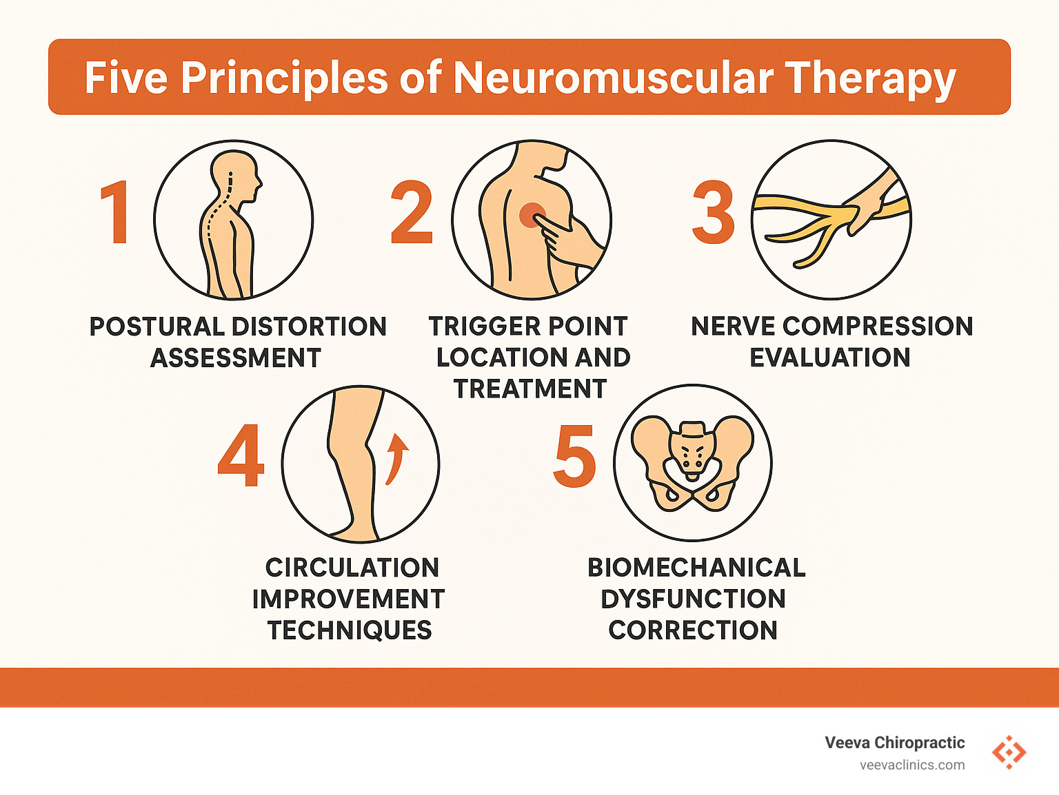 Infographic showing the five principles of neuromuscular therapy: postural distortion assessment, trigger point location and treatment, nerve compression evaluation, circulation improvement techniques, and biomechanical dysfunction correction - neuromuscular therapy near me infographic 