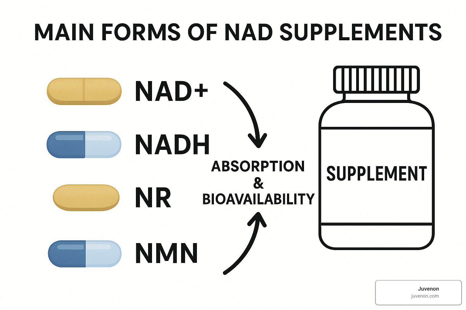 NAD supplement forms comparison - are nad supplements safe