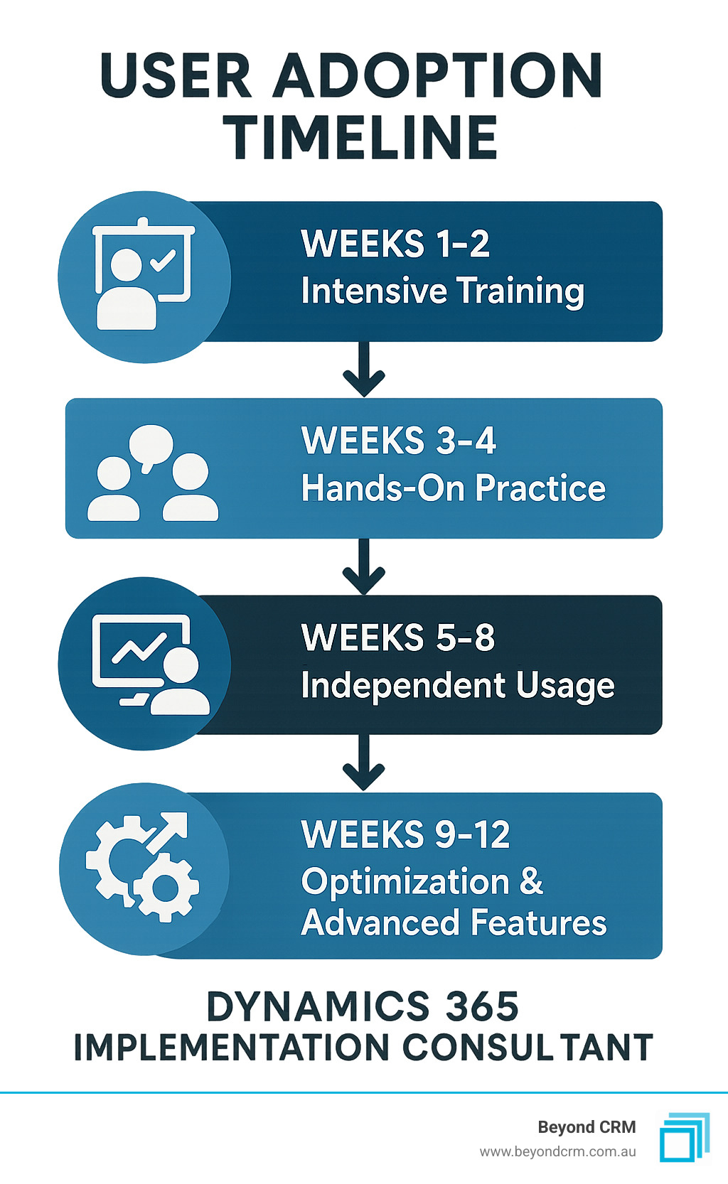 Infographic showing user adoption timeline: Week 1-2 intensive training, Week 3-4 hands-on practice with support, Week 5-8 independent usage with monitoring, Week 9-12 optimization and advanced features - Dynamics 365 implementation consultant infographic 