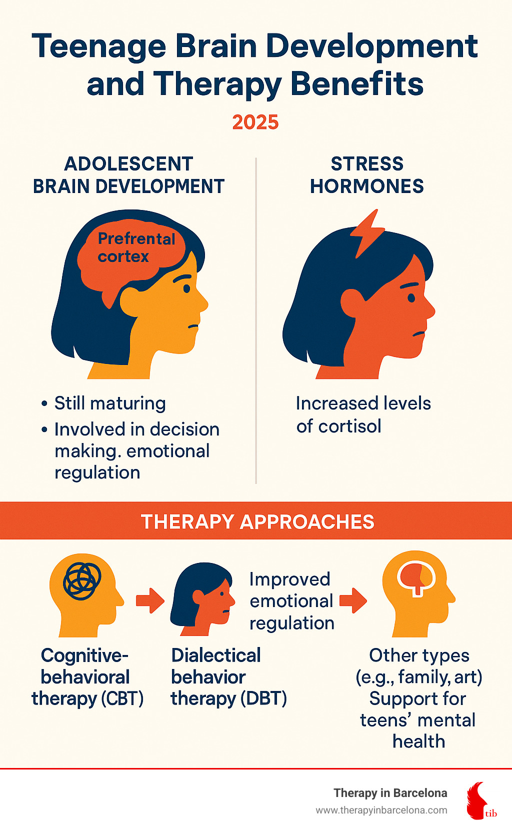 Teenage Brain Development and Therapy Benefits Infographic - showing adolescent brain development stages, stress hormone impacts, and how different therapy approaches support emotional regulation and decision-making skills - Therapy for teenagers infographic 