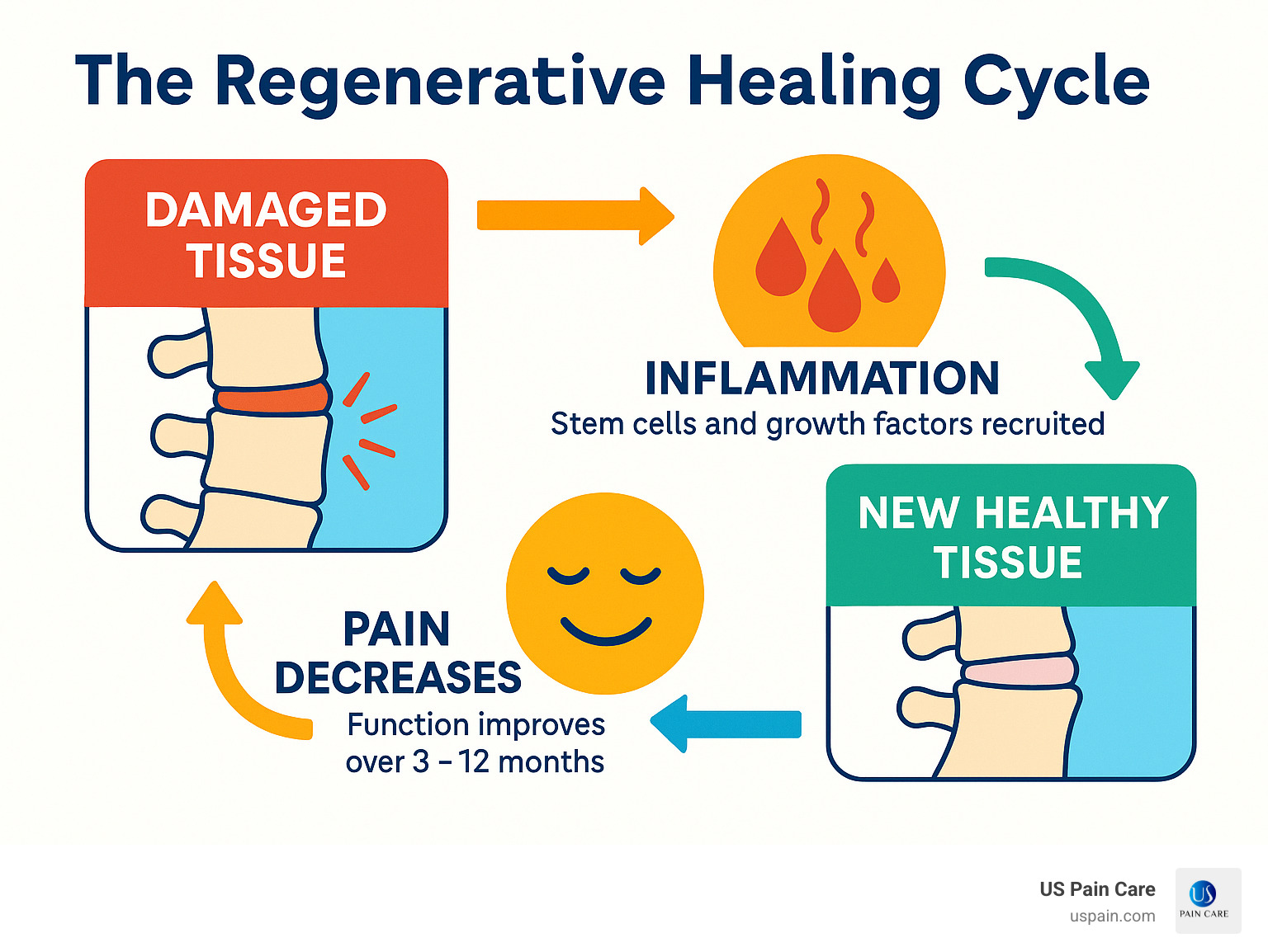 Infographic showing the regenerative healing cycle: damaged tissue triggers inflammation, stem cells and growth factors are recruited to the injury site, new healthy tissue forms, and pain decreases as function improves over 3-12 months - regenerative medicine for back infographic 