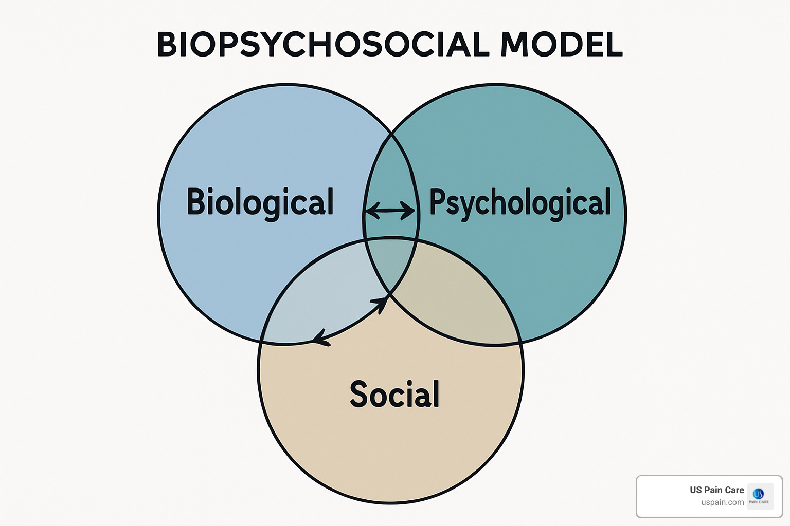 biopsychosocial model diagram showing interconnected factors - musculoskeletal pain management biopsychosocial model diagram showing interconnected factors - musculoskeletal pain management