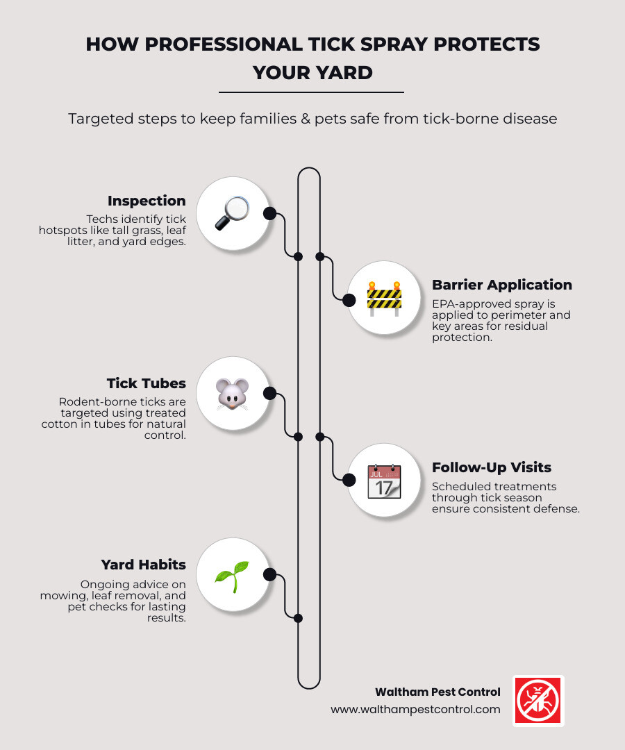 Professional tick spray process showing tick lifecycle, yard hotspots including tall grass and leaf litter, application zones around home perimeter, and seasonal treatment schedule - professional tick spray for yard infographic infographic-line-5-steps-neat_beige