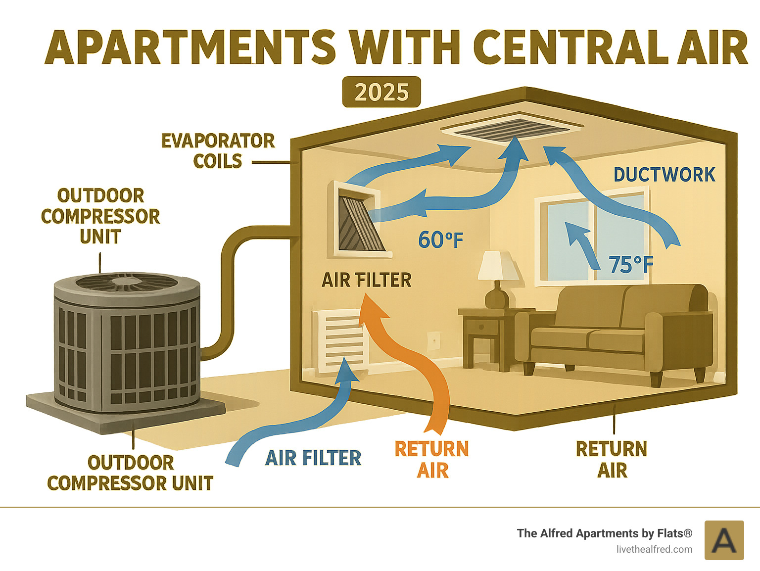 Infographic showing central air system components including outdoor compressor unit, indoor evaporator coils, ductwork distribution, return air vents, and air filtration process with arrows indicating airflow direction and temperature changes throughout apartment - apartments with central air infographic 
