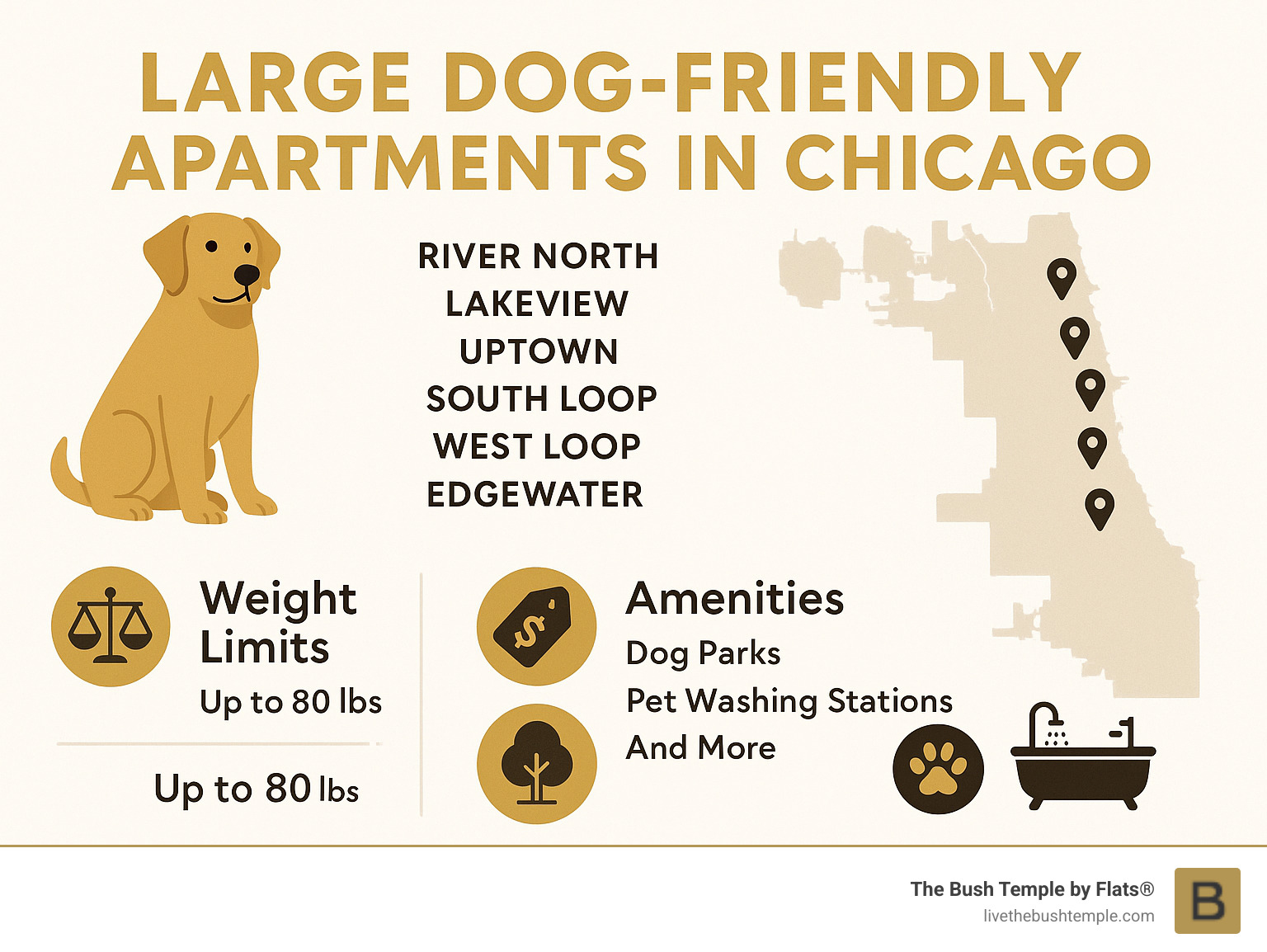 Comprehensive guide showing Chicago neighborhoods with pet-friendly apartments, including pet fees and essential amenities like dog parks and pet washing stations across River North, Lakeview, Uptown, South Loop, West Loop, and Edgewater areas - large dog friendly apartments chicago infographic 