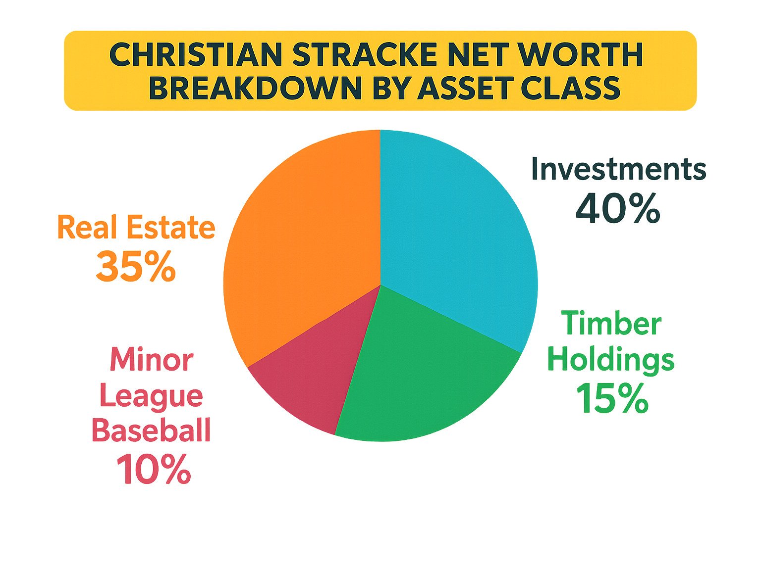 Christian Stracke net worth breakdown by asset class - Christian Stracke Net Worth infographic 