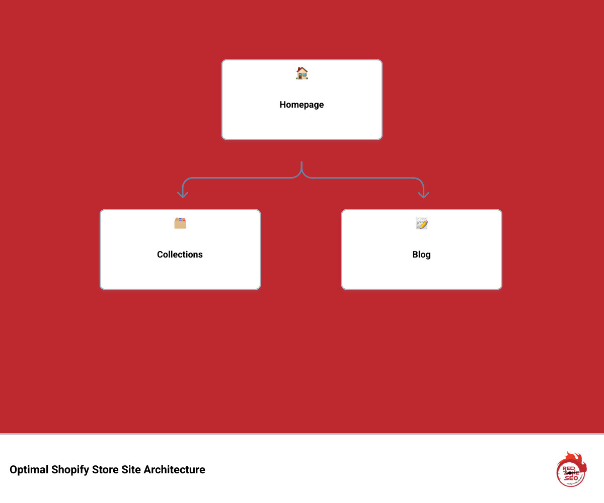 Detailed infographic showing optimal site architecture flow for Shopify stores, including homepage structure, collection hierarchy, product organization, and internal linking patterns with specific examples - shopify store seo infographic hierarchy