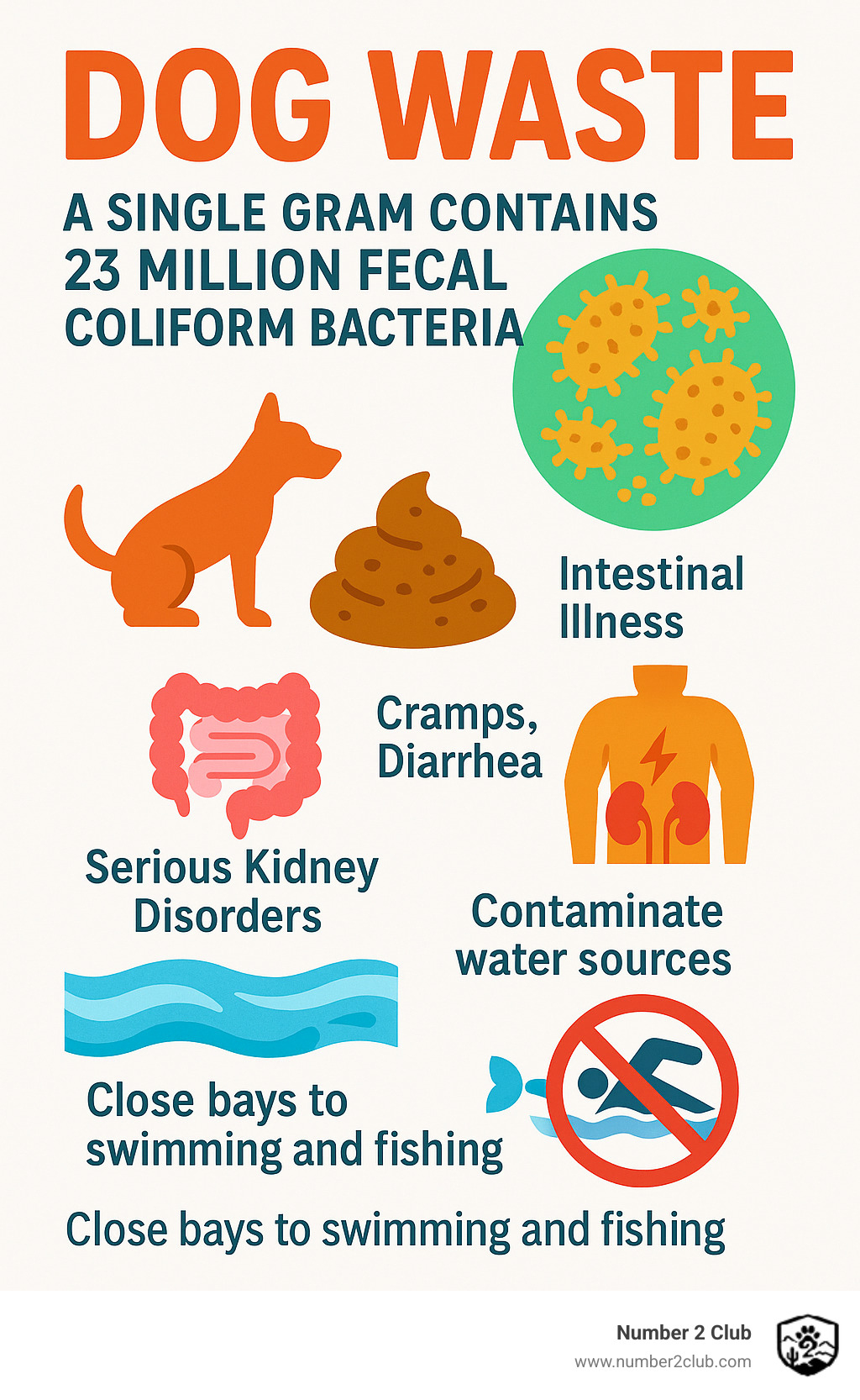 Infographic showing bacteria and health risks: single gram of dog waste contains 23 million fecal coliform bacteria, can cause intestinal illness, cramps, diarrhea, serious kidney disorders, contaminate water sources, close bays to swimming and fishing - pet waste removal business infographic 