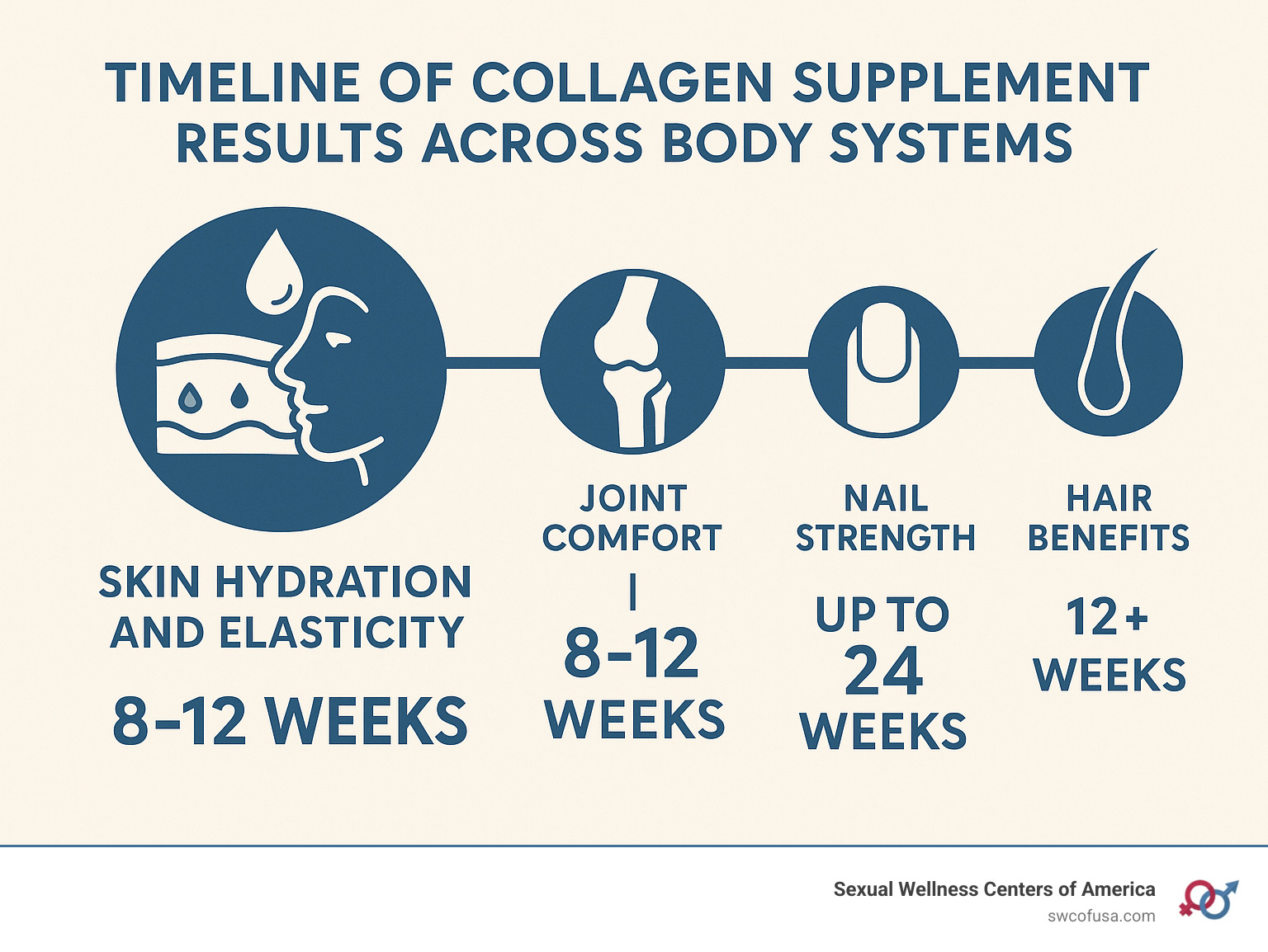 infographic showing timeline of collagen supplement results across different body systems - collagen peptides supplements infographic