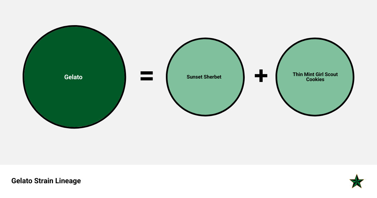 Gelato strain lineage and flavor profile - gelato cartridges review infographic sum_of_parts