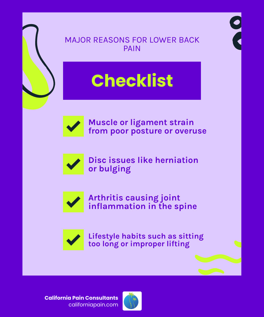 Infographic showing common causes of lower back pain, including muscle strain, disc issues, and arthritis, with key symptoms for each - why does my lower back hurt infographic checklist-fun-neon