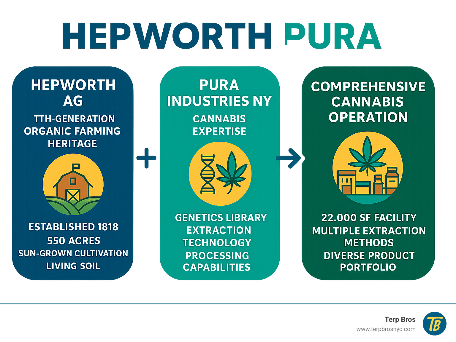 Infographic showing the partnership structure between Hepworth AG's 7th-generation organic farming heritage (established 1818, 550 acres, sun-grown cultivation, living soil) and Pura Industries NY's cannabis expertise (genetics library, extraction technology, processing capabilities), resulting in Hepworth Pura's comprehensive cannabis operation with 22,000 SF facility, multiple extraction methods, and diverse product portfolio - hepworth pura infographic 